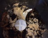 Foto del paso 2 de la receta: Trufas de dátiles, energéticas y saludables