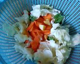 Foto langkah ke 1 dari resep Sop Bihun _Sounku_.