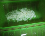 Foto del paso 2 de la receta: Falsa lasaña de calabacín, en lekué
