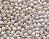 A picture of step 3 of Jowar roast.