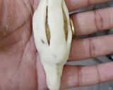 A picture of step 7 of Chatpati toffee.