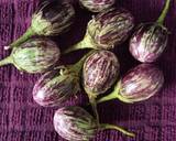Brinjal fritters recipe step 1 photo