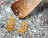 Foto del paso 4 de la receta: Mermelada de nísperos casera