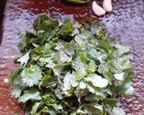 ধনেপাতা পুদিনা পাতার চাটনি (Dhone Pata Pudina Patar Chutney recipe in Bengali) রেসিপির ধাপ 2 ছবি