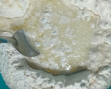 Foto del paso 1 de la receta: Torta frita