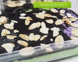 Foto langkah ke 5 dari resep Avocado Mousse Cake.