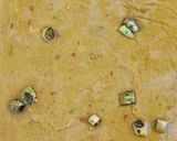 A picture of step 9 of Mutton haleem/daleem.