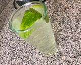Foto del paso 1 de la receta: Infusión Melisa-Limón