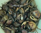 Hình bước làm 1 của món Bún riêu cua