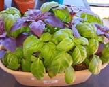 Mike's 3 Minute Breakfast Quiche