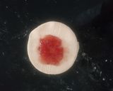 Foto del paso 5 de la receta: Formas de masa hojaldre