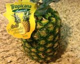 A picture of step 1 of Homemade Mango Pineapple Ice Cream.