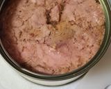 Foto del paso 10 de la receta: 189. Ensalada de Lentejas con Atún y Surimi