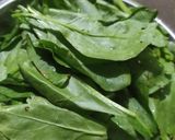 A picture of step 1 of Palak paneer.