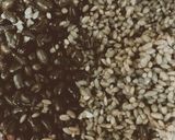 Hình bước làm 3 của món Xôi đỗ đen