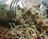 A picture of step 3 of Lentil Cream with Coconut Peanut Butter and Sprouts.