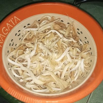 Langkah 1