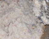 A picture of step 4 of Chicken bread.