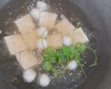 Foto langkah ke 4 dari resep SOP Bakso Tahu by Jesslyn Orlane.