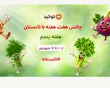 عکس مرحله 1 از دستور شوید پلو با مرغ و عدس🌿