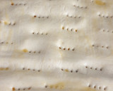 Foto del paso 3 de la receta: Empanada de pisto y atún