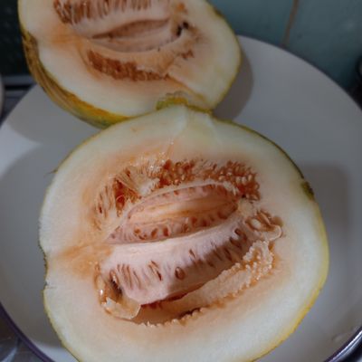 Langkah 2