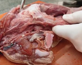 Foto del paso 1 de la receta: Redondo de pavo