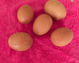Foto del paso 4 de la receta: Tortilla de acelgas rojas rellena de jamón y queso