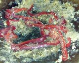Foto del paso 7 de la receta: Paella 🐙🍴🐚