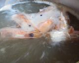 Hình bước làm 2 của món Canh rau dền đỏ nấu tôm