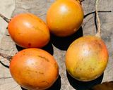 Hình bước làm 2 của món Ăn vặt tốt cho sức khoẻ: cà chua thân gỗ