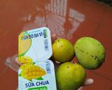 Hình bước làm 1 của món Sinh tố xoài sữa chua