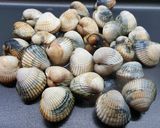 Foto del paso 3 de la receta Berberechos a la plancha