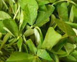 होममेड कसूरी मेथी की विधि (Homemade kasuri methi ki vidhi recipe in Hindi) रेसिपी चरण 1 फोटो