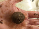 Praline Pan di stelle