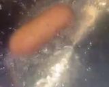 A picture of step 5 of Boerewors Corn dog 🌽🐶.