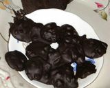 A picture of step 5 of Dark chocolate dry fruits clusters.