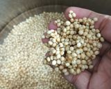 A picture of step 1 of Summer Special Juicy Jowar & Tofu Colorful Salad Bowl.
