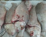 عکس مرحله 2 از دستور ماهی سرخ کرده