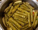 صورة لخطوة 9 من وصفة ورق عنب بالزيت