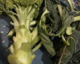 Foto langkah ke 1 dari resep Cara Menyimpan Brokoli.