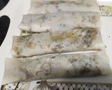 வால்நட் ஸ்பிரிங் ரோல் (Walnut spring roll) ரெசிபி ஸ்டேப் 6 புகைப்படம்