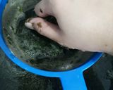 Foto langkah ke 3 dari resep Es cincau hijau susu.