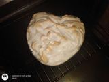 Lemon pie o mejor Orange pie jjaa