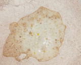 Foto del paso 1 de la receta: Pan Pita Integral
