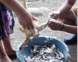 Foto del paso 4 de la receta: Pachamanca a la olla desde la selva central