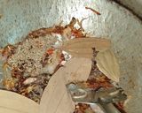 A picture of step 5 of Mutton Pulao.