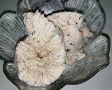 A picture of step 5 of Chocolate chip ice cream.