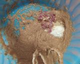 Foto langkah ke 2 dari resep Pempek Kulit Krispi.
