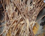Gambar langkah 2 resipi Spaghetti Cheese Sticks 🍝🍝.